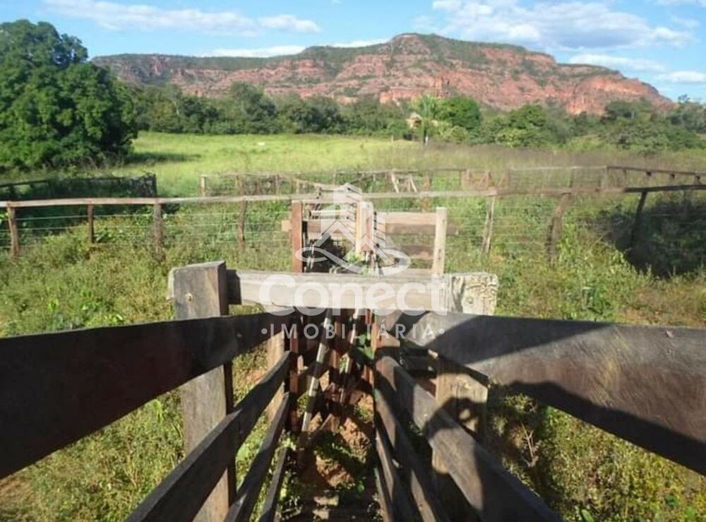 Fazenda - Foto 3