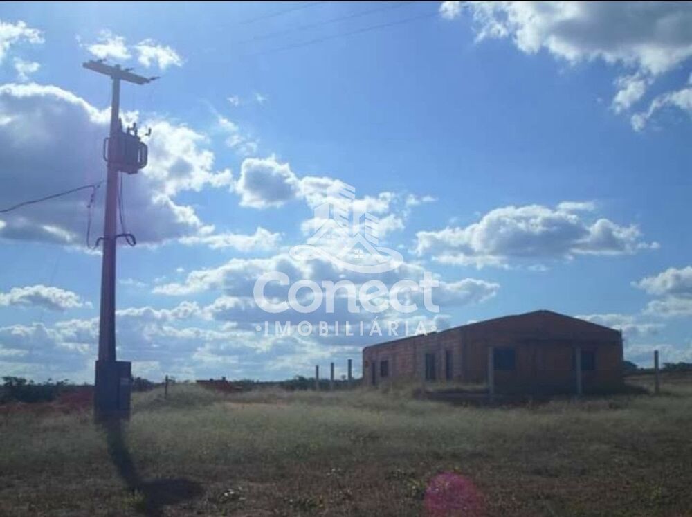 Fazenda - Foto 4