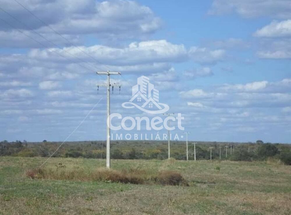 Fazenda - Foto 7