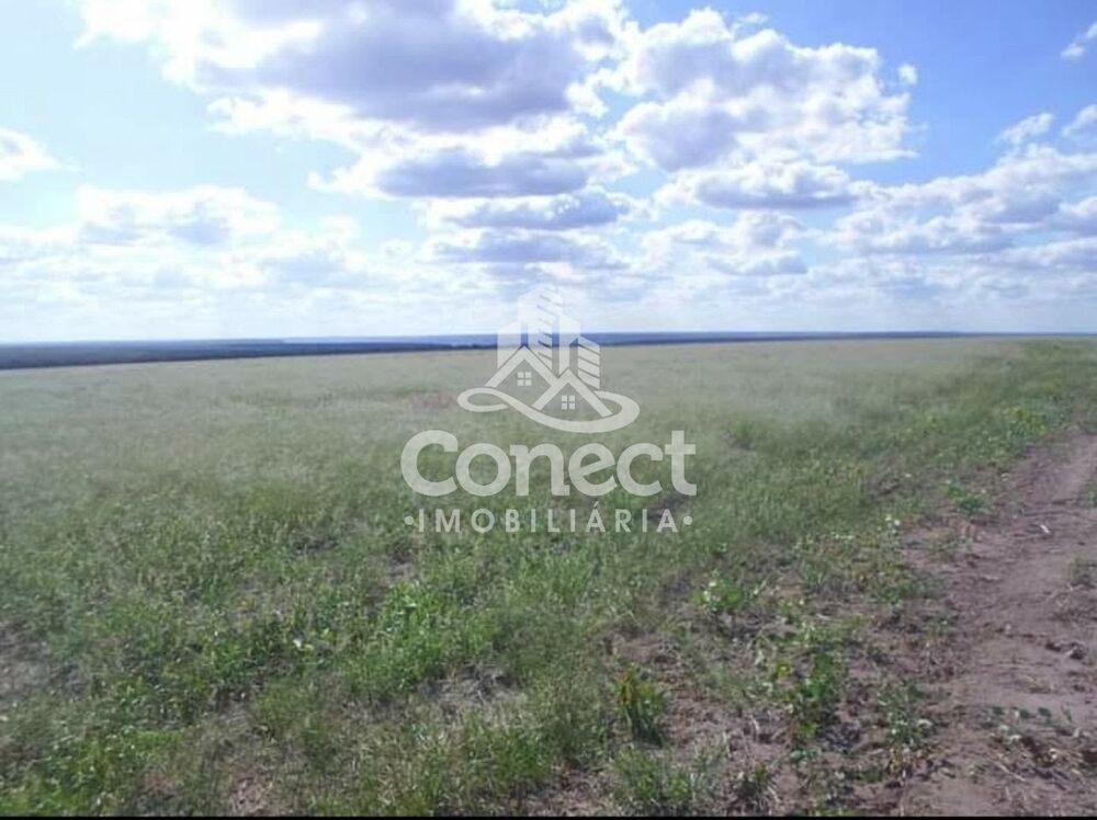 Fazenda - Foto 6