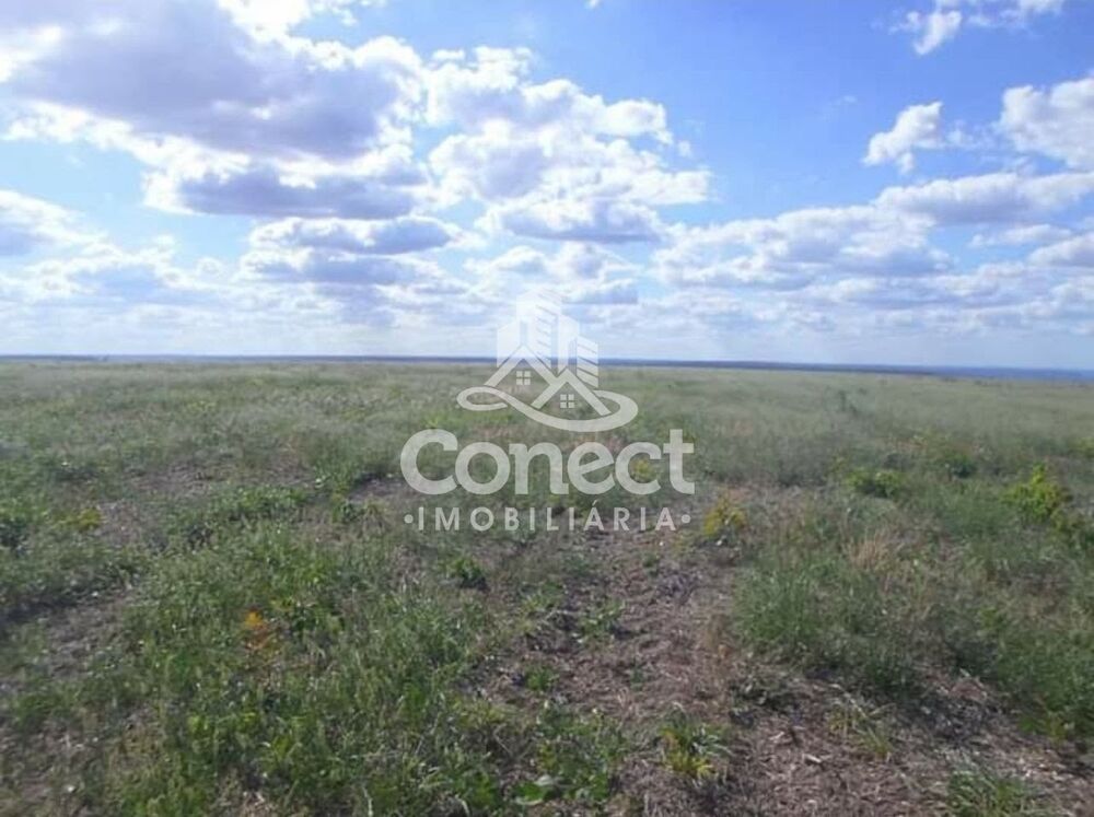 Fazenda - Foto 2