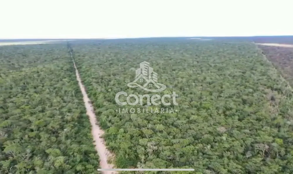 Fazenda - Foto 10