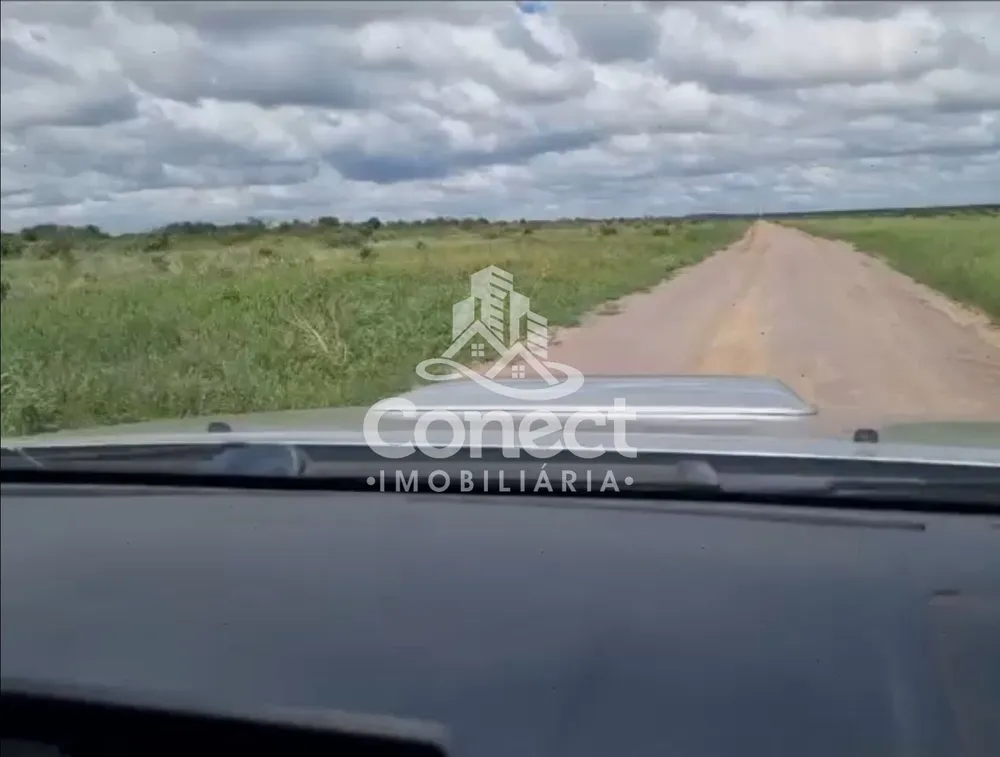 Fazenda - Foto 5
