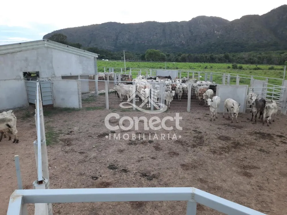 Fazenda, 1031 m² - Foto 7