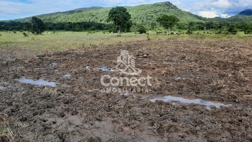 Fazenda, 1031 m² - Foto 2