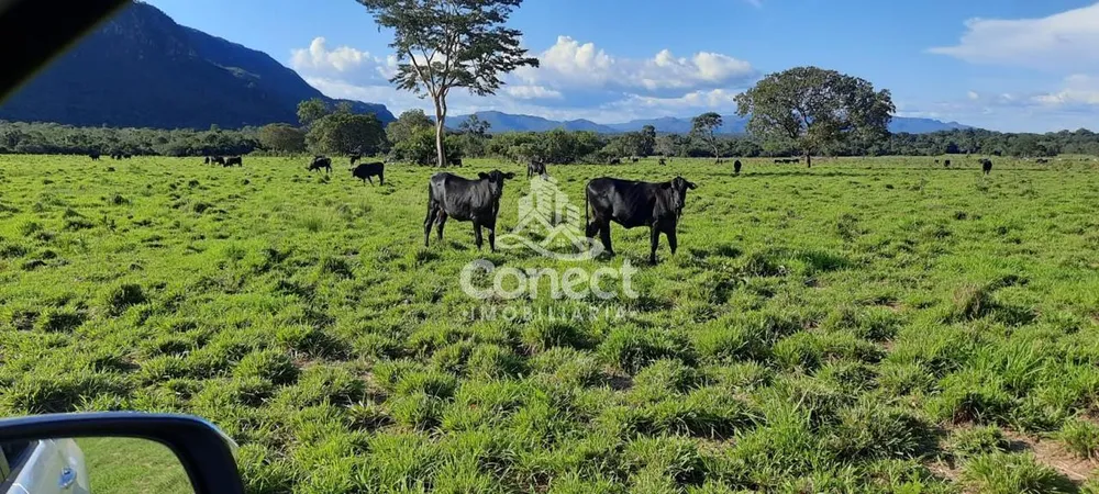 Fazenda, 1031 m² - Foto 8