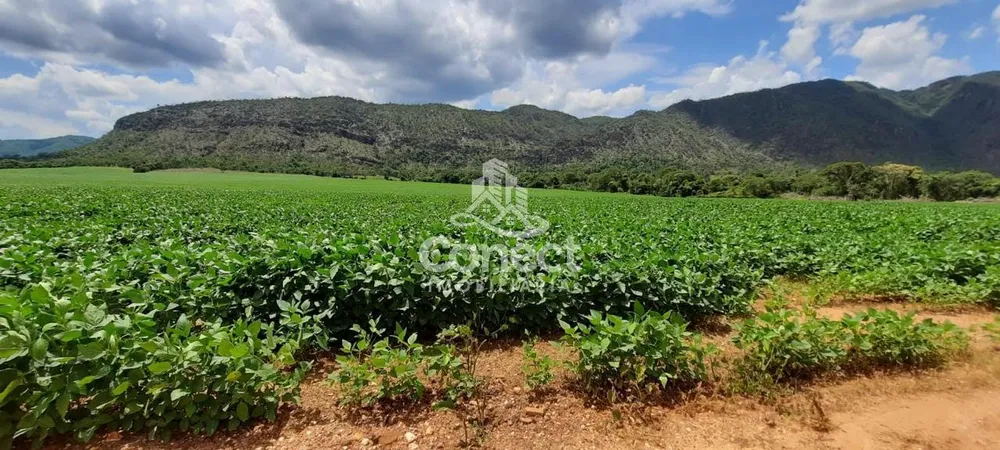 Fazenda, 1031 m² - Foto 6