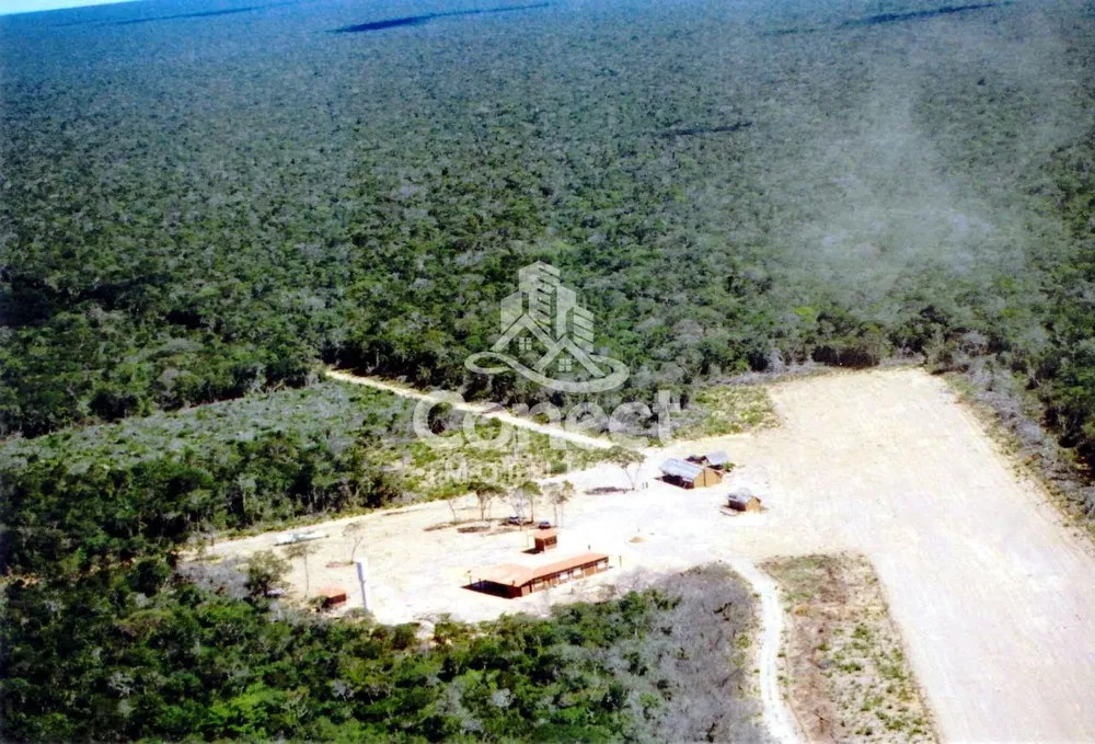 Fazenda, 10082 hectares - Foto 2