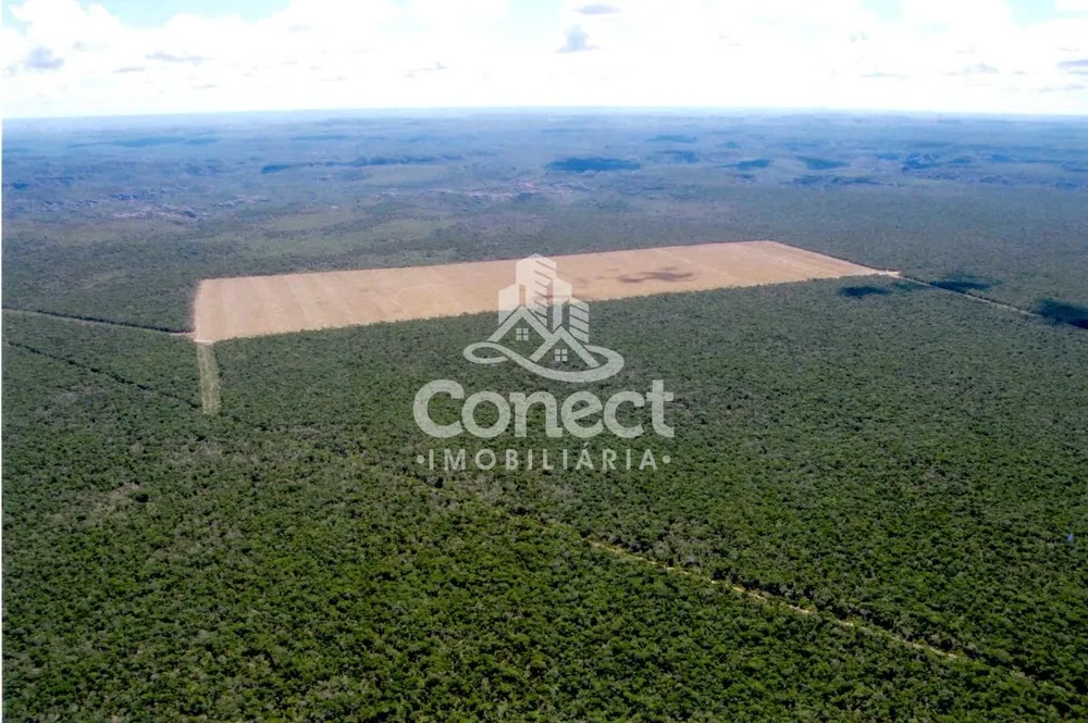 Fazenda, 10082 hectares - Foto 1