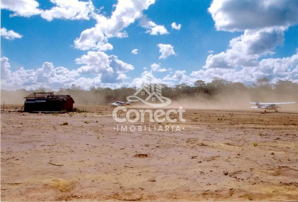Fazenda, 10082 hectares - Foto 4