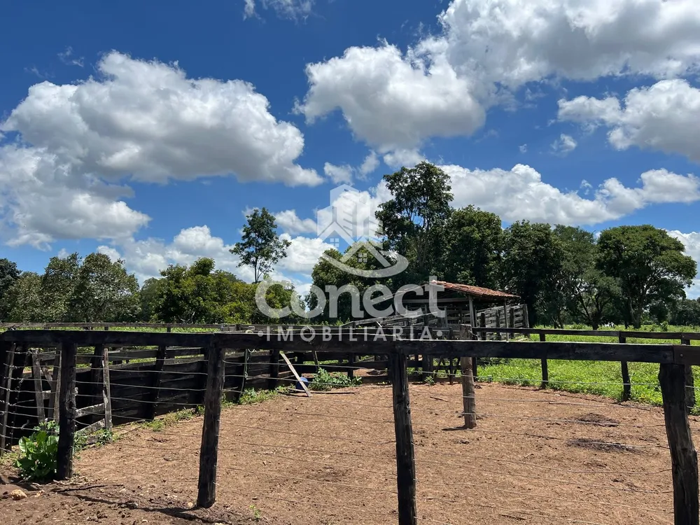 Fazenda - Foto 13