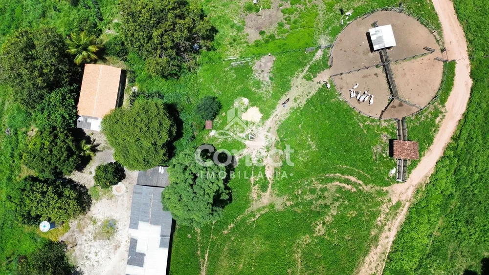 Fazenda - Foto 15