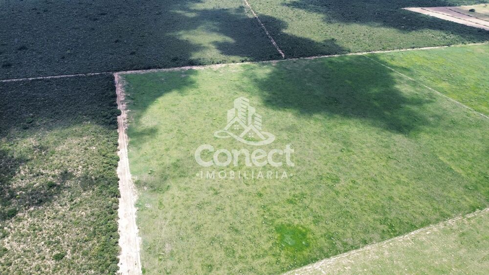 Fazenda - Foto 3