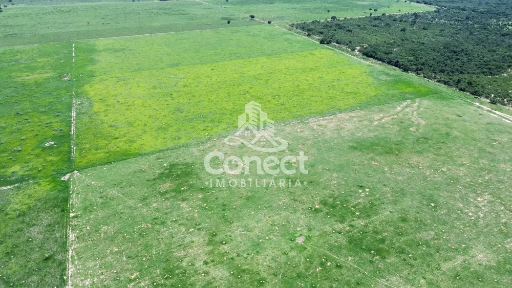 Fazenda - Foto 9