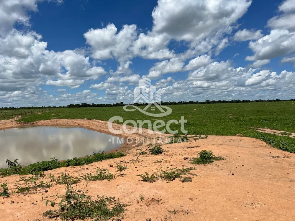 Fazenda - Foto 8