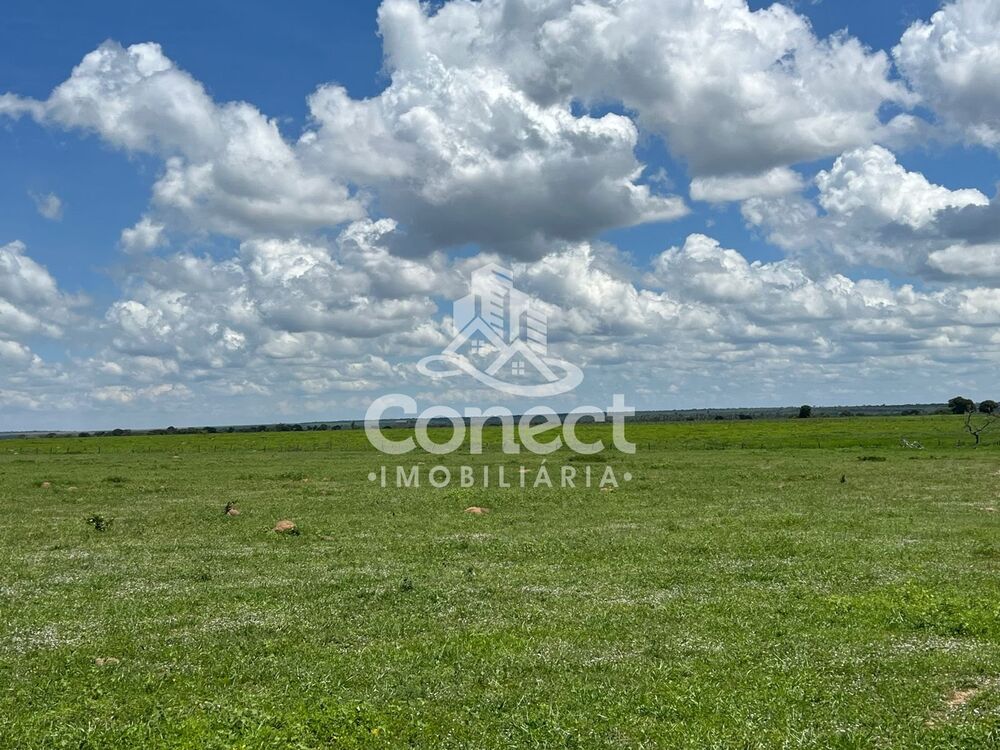 Fazenda - Foto 4