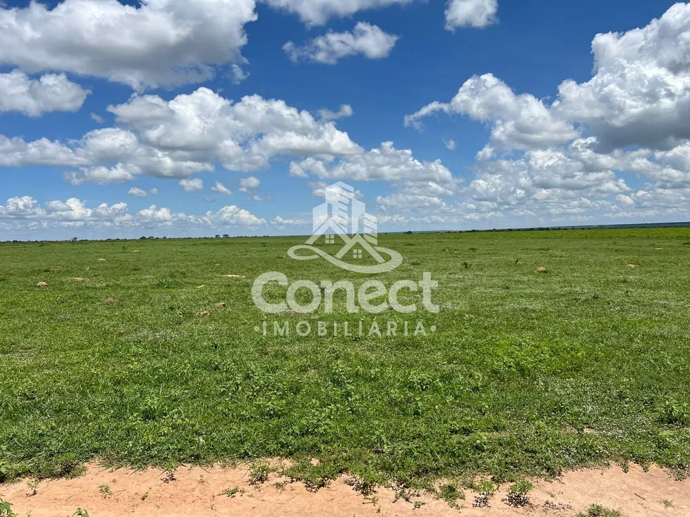 Fazenda - Foto 6