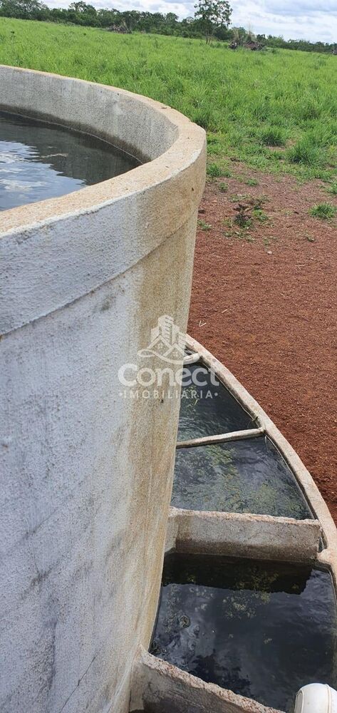 Terreno à venda - Foto 3