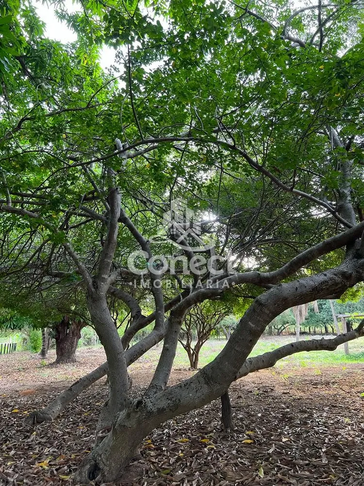 Fazenda - Foto 4