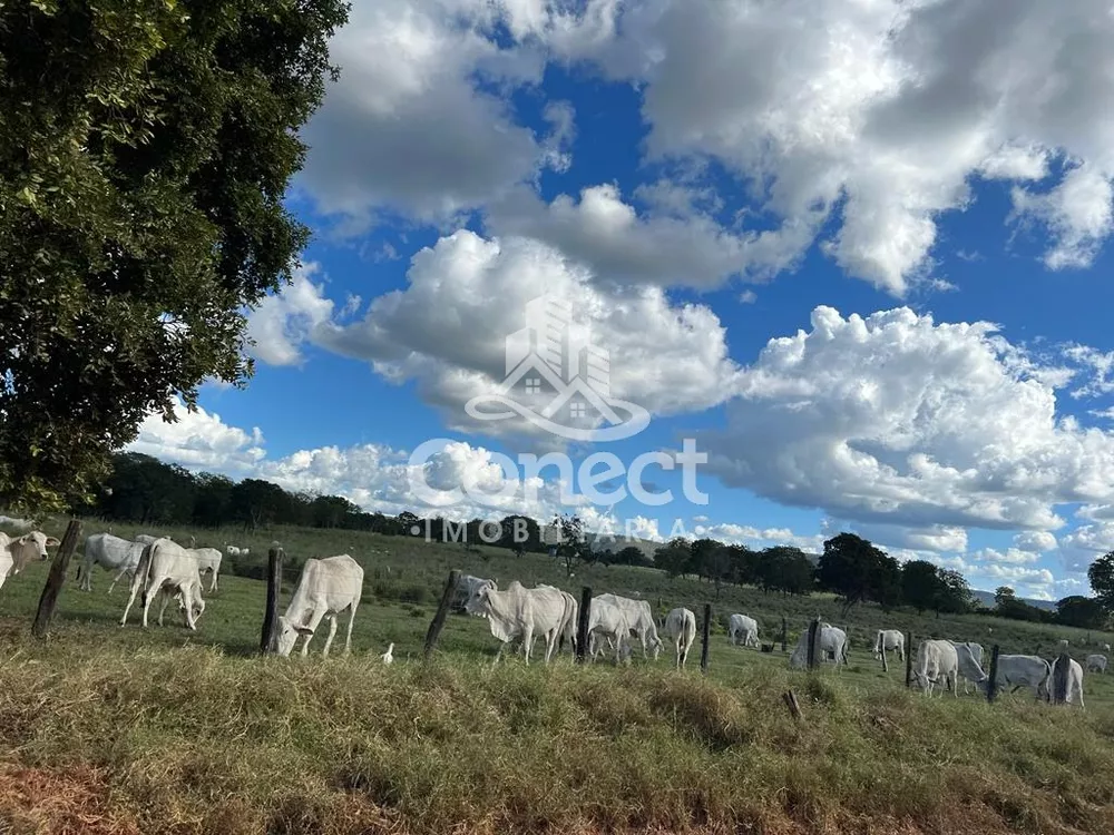 Fazenda à venda - Foto 4