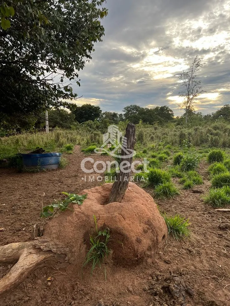 Fazenda - Foto 1
