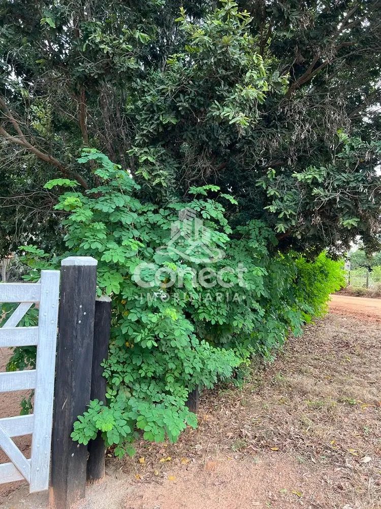Fazenda - Foto 2