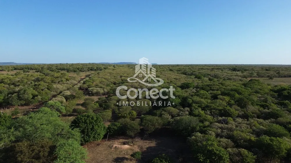 Fazenda - Foto 6