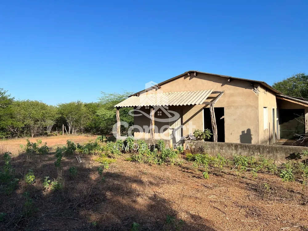 Fazenda - Foto 7