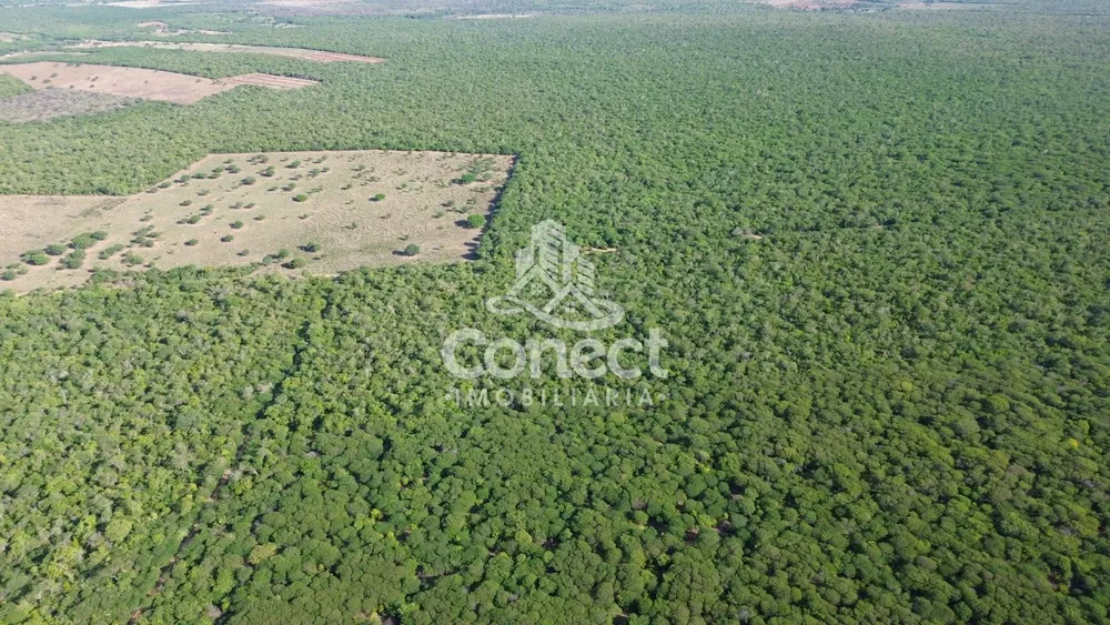 Fazenda - Foto 5
