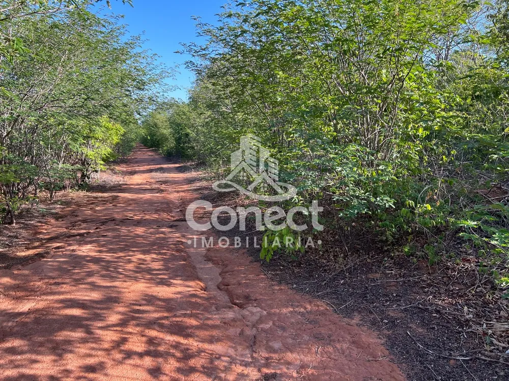 Fazenda - Foto 1