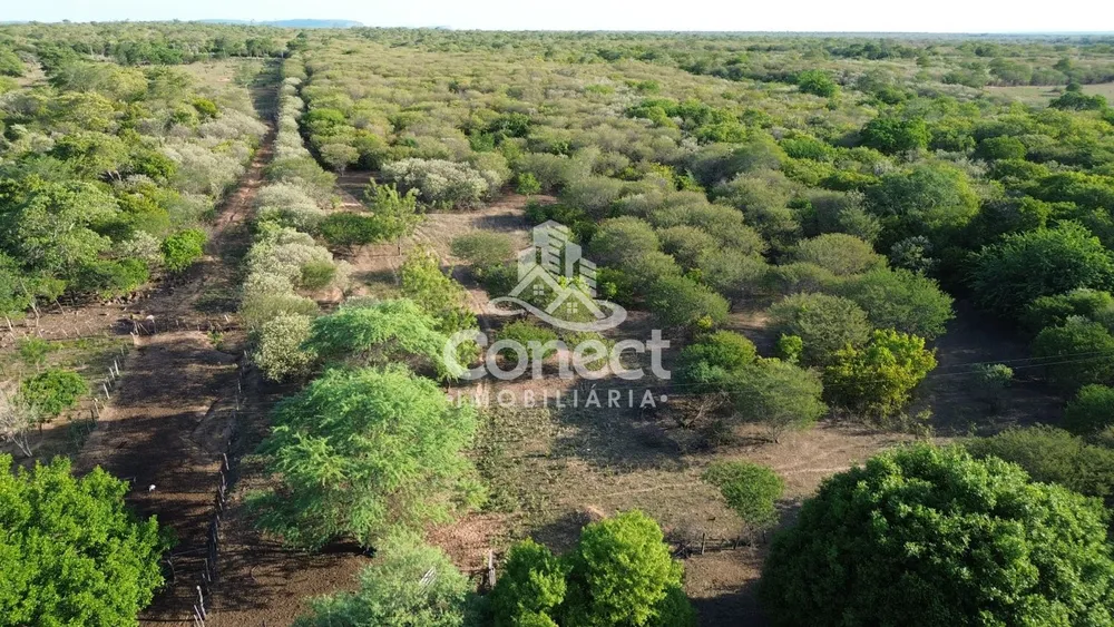 Fazenda - Foto 8