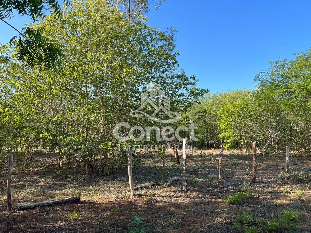 Fazenda - Foto 2