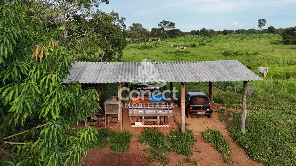 Fazenda - Foto 4