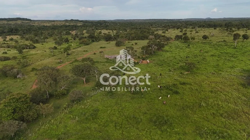 Fazenda - Foto 9