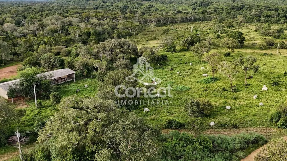 Fazenda - Foto 12