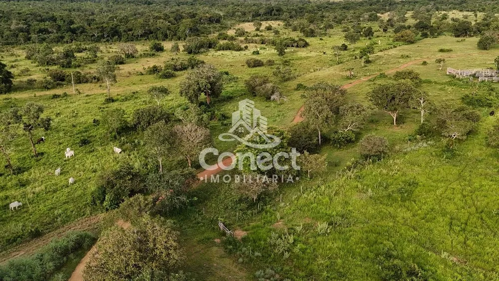 Fazenda - Foto 11