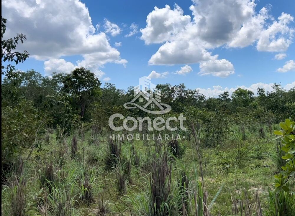 Fazenda, 3 quartos - Foto 12