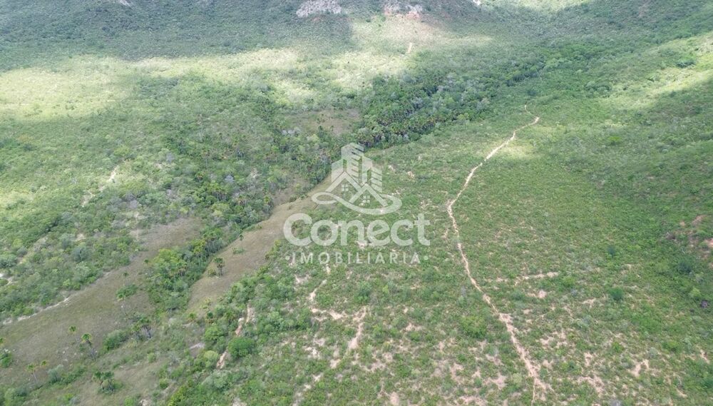 Fazenda, 3 quartos - Foto 15