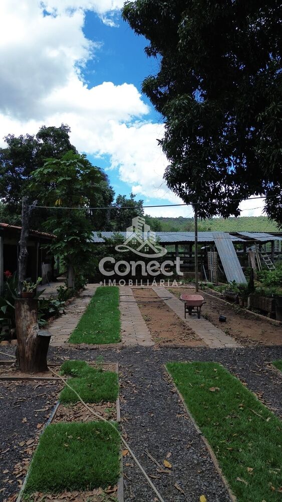 Fazenda, 3 quartos - Foto 22