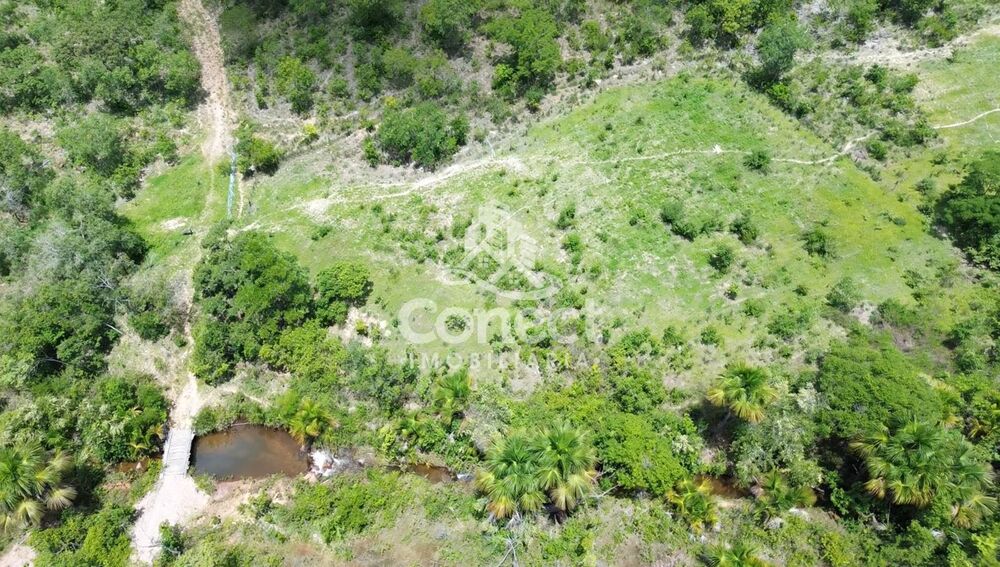 Fazenda, 3 quartos - Foto 14