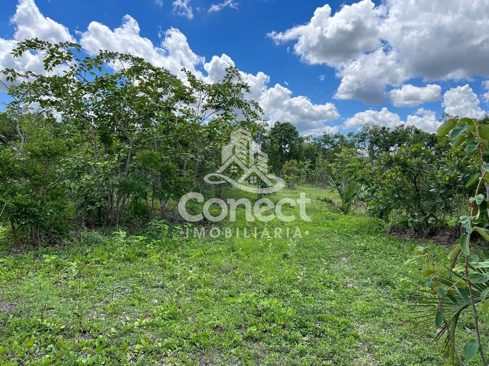 Fazenda, 3 quartos - Foto 5