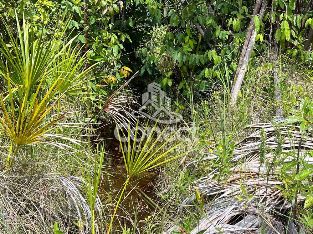 Fazenda, 3 quartos - Foto 6