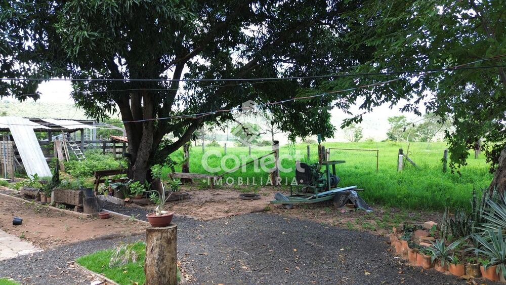 Fazenda, 3 quartos - Foto 2