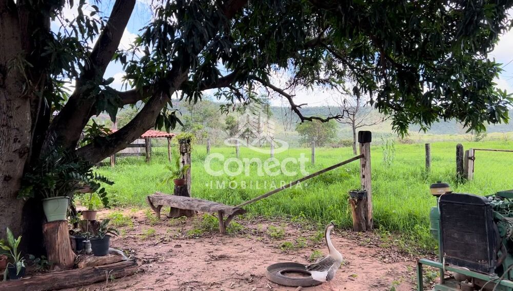 Fazenda, 3 quartos - Foto 11