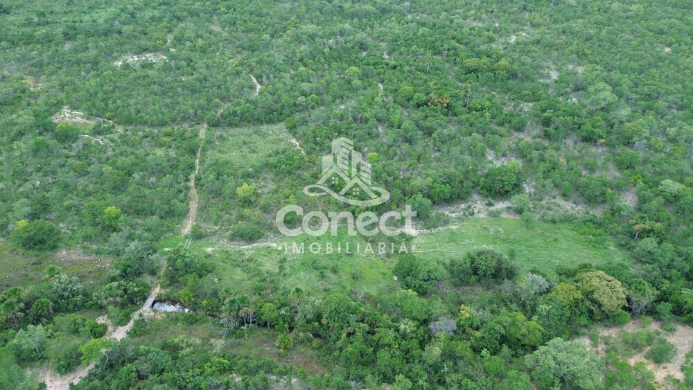 Fazenda, 3 quartos - Foto 19