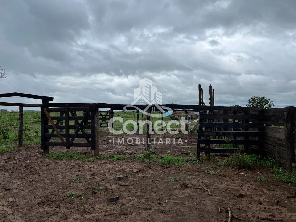 Fazenda - Foto 16