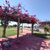 Terreno, 360 m² - Foto 3