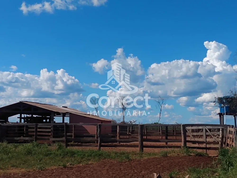 Fazenda, 2 hectares - Foto 7