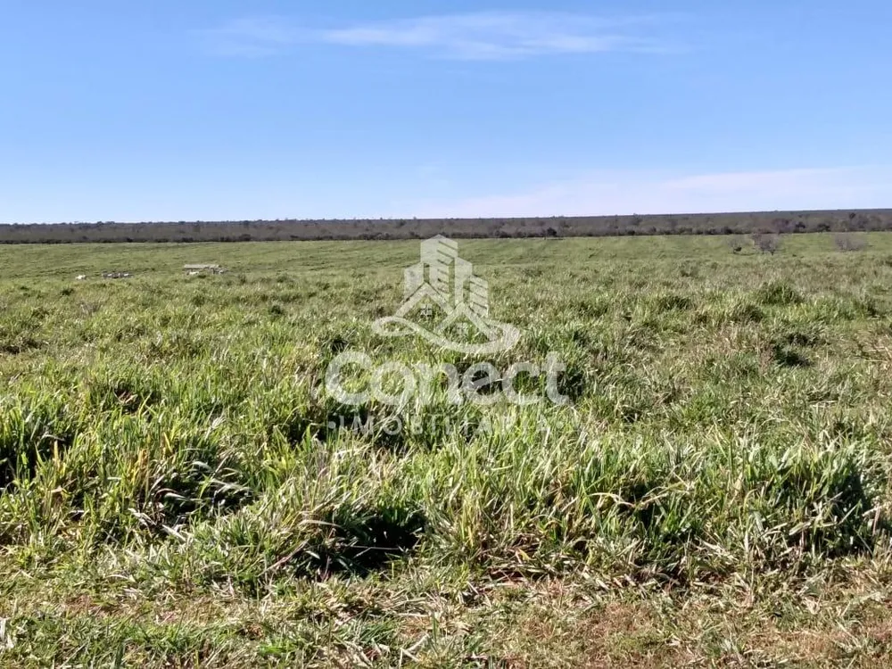 Fazenda, 2 hectares - Foto 9