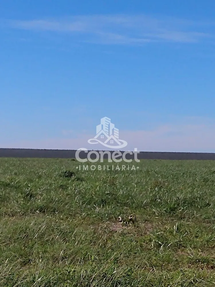Fazenda, 2 hectares - Foto 10
